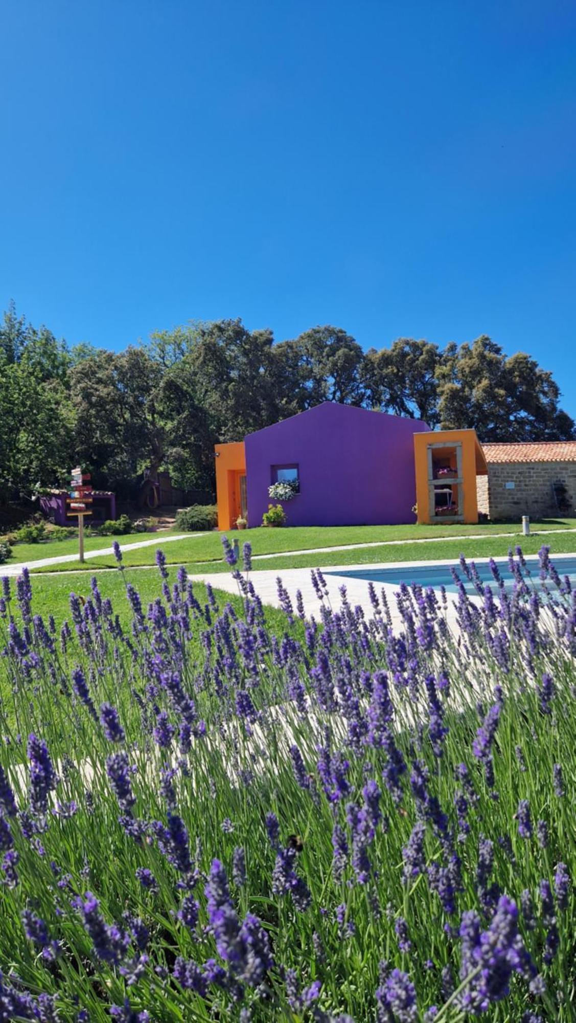 Hotel Limbara Dreaming Tempio Pausania Exteriér fotografie