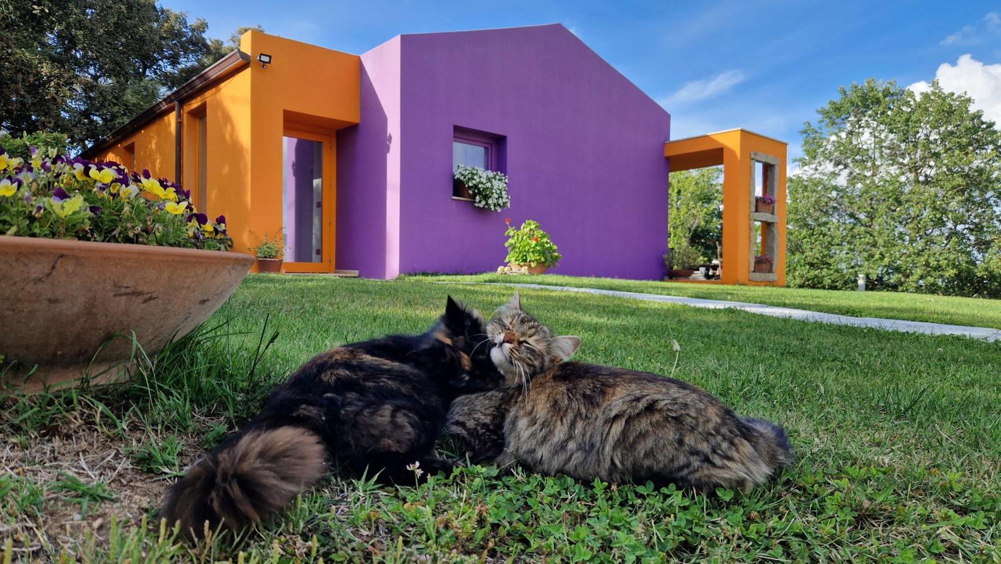 Hotel Limbara Dreaming Tempio Pausania Exteriér fotografie