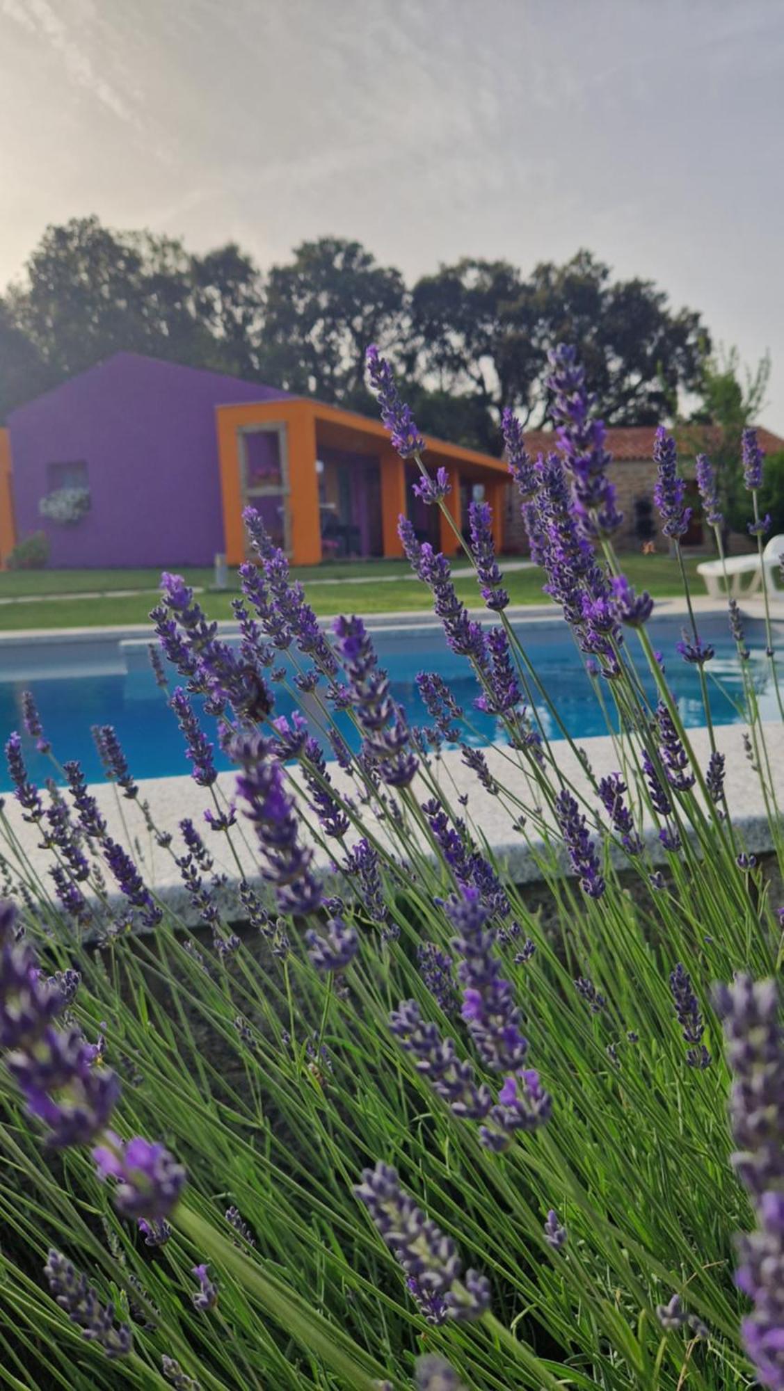 Hotel Limbara Dreaming Tempio Pausania Exteriér fotografie