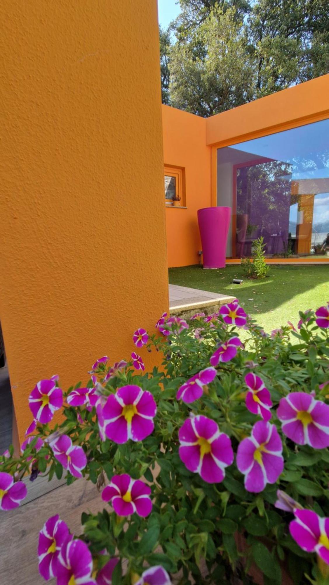 Hotel Limbara Dreaming Tempio Pausania Exteriér fotografie