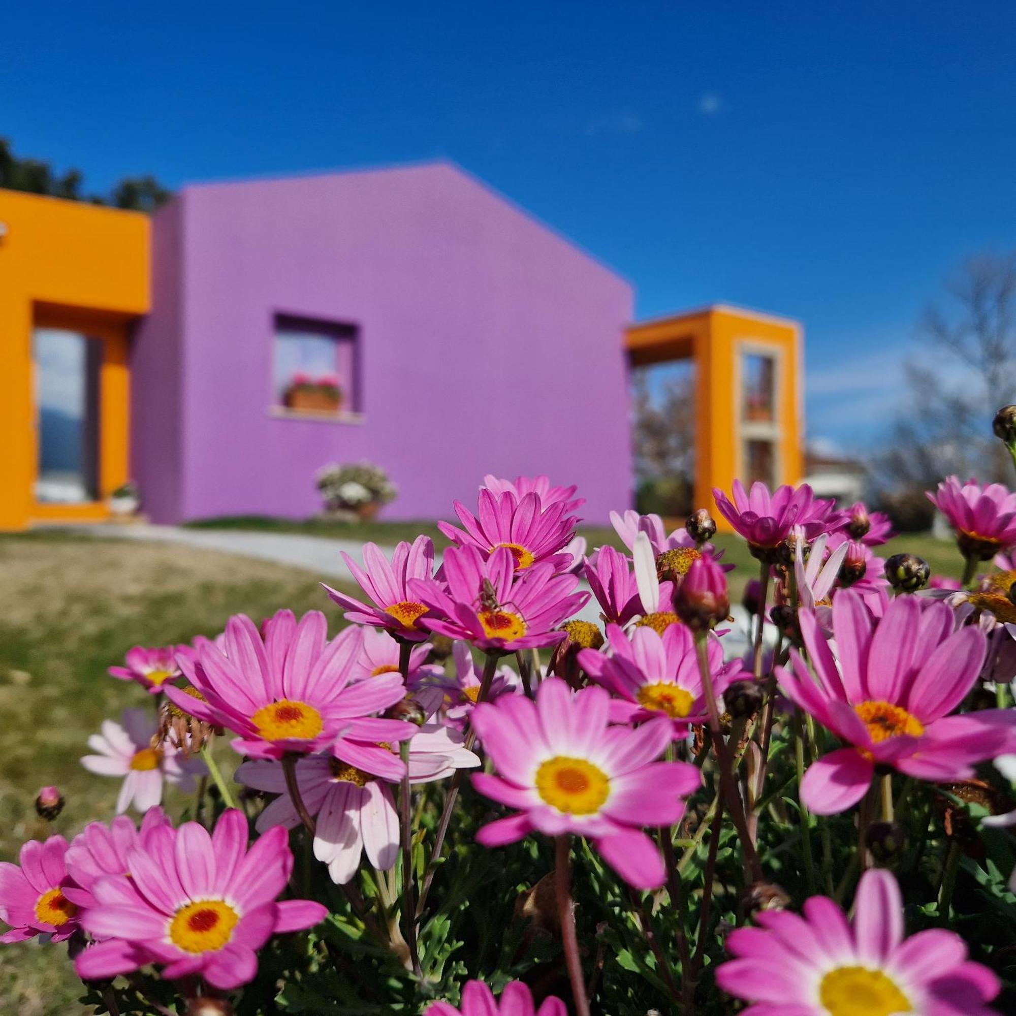 Hotel Limbara Dreaming Tempio Pausania Exteriér fotografie